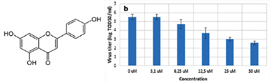 Reduction of ASFV yield upon treatment with different concentrations of apigenin