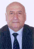 Artem E. Sargsyan
